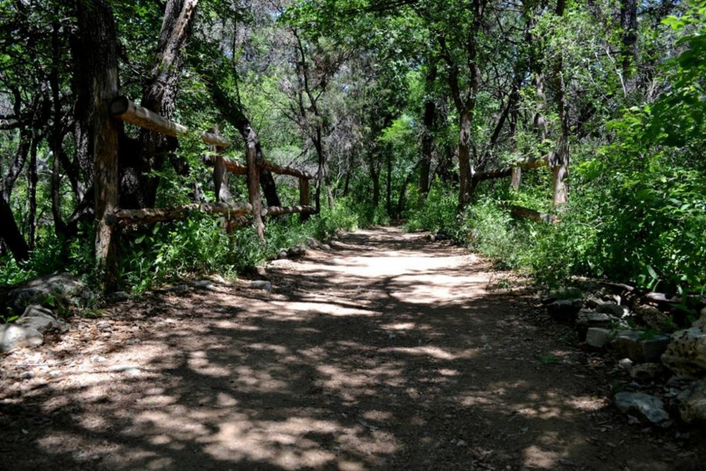 In Barton Creek Greenbelt, adventures for you and you dog awaits!